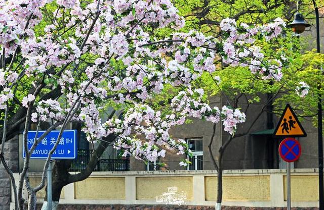 四月份去哪里旅游好，4月旅游必去十大景点