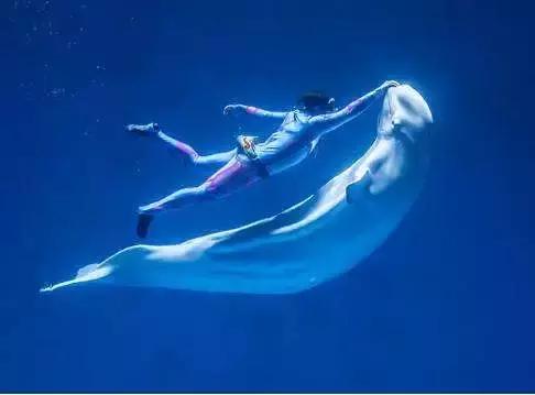 去芜湖玩攻略，到芜湖怎么玩芜湖最强旅游指南