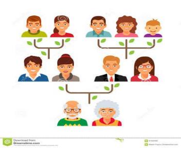 树状思维导图模板，知识点总结树状图（初中物理树状思维导图）