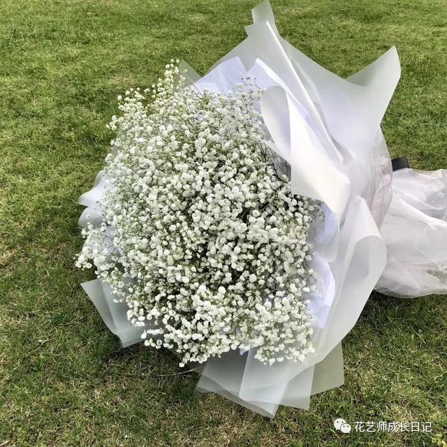 情人节送女孩什么礼物除了红玫瑰，七夕节我们还可以送哪些花表达爱？