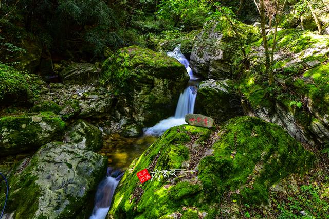 低山区特色是水，鸡笼山特点（牛背梁：低山区特色是水）