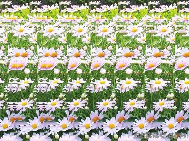 三维立体画图片，挑战一下非常神奇的三维立体画（最震撼的三维立体画）