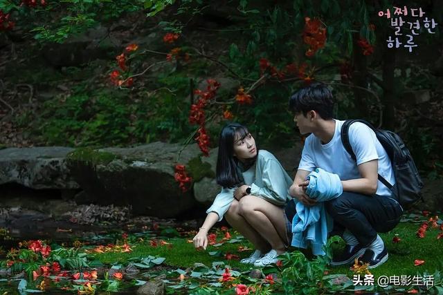 韩剧高分推荐韩国，近8个月口碑最佳的10部韩剧