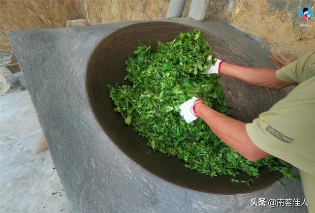 手工制茶的六个步骤，南茗佳人手工制茶过程全公开