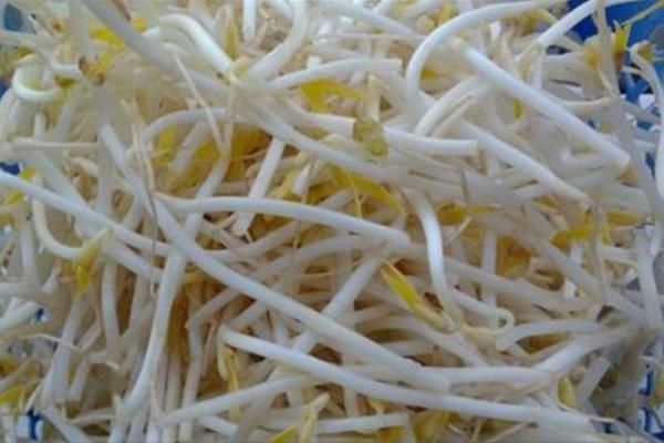 黄豆芽的做法大全，自己在家也可以生豆芽了（豆芽的做法大全黄豆芽）