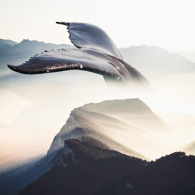 优阿壁纸精选大鱼壁纸，3d鱼壁纸（用这组壁纸开启愉快的一天吧）