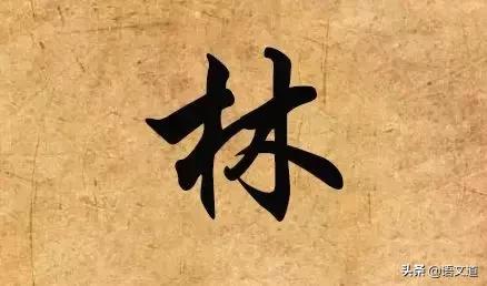 百家姓林排第几，福建省姓氏最新排名