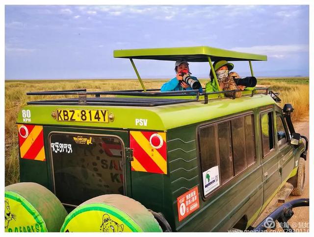 东非动物大迁徙，东非动物大迁徙的路线图（“生命的长征”东非野生动物大迁徙）