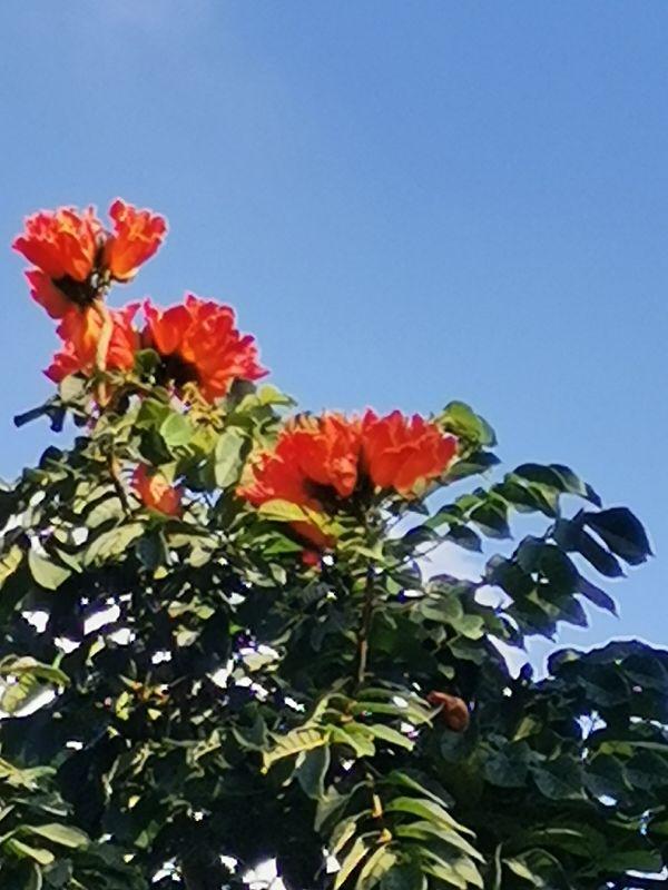 三亚天涯海角，三亚夜景（第三期：三亚天涯海角景区）