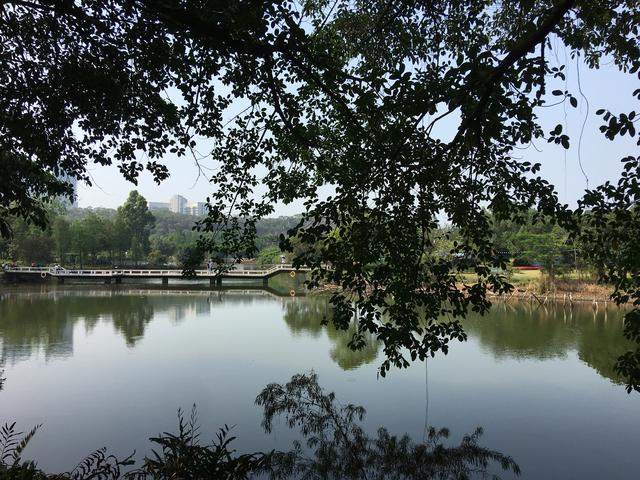 广州哪里可以看海，广州旅游看海的地方（广州这些“无敌海景”碧道藏不住了）