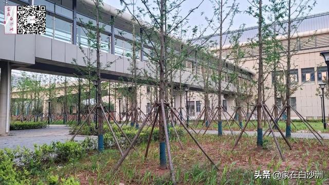 武汉地铁5号线南三环站点，武汉地铁5号线二期工程顺利首铺