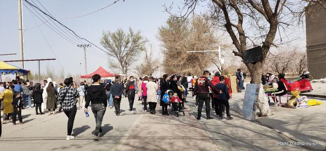 杏花节活动开幕，杏花节我来啦