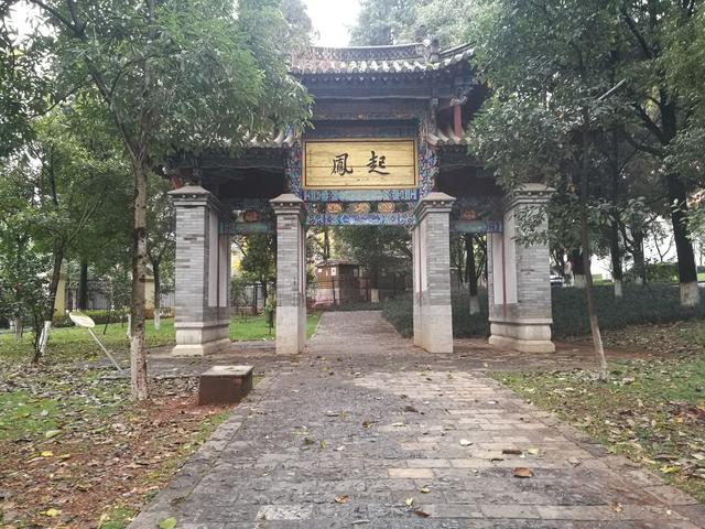昆明海鸥最佳观赏地，去海埂大坝看海鸥前