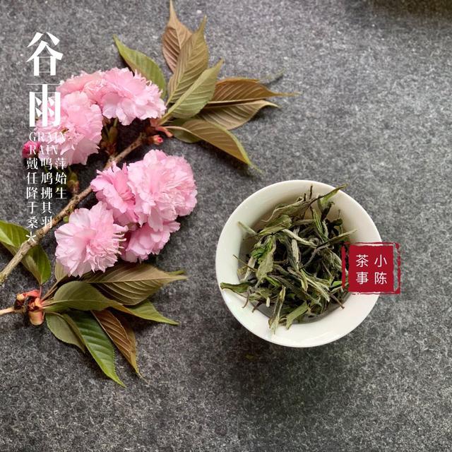 明前茶和雨前茶的区别，什么是明前茶什么是雨前茶（明前茶和雨前茶有什么区别）