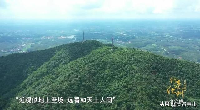 化州在哪里呀，你好化州