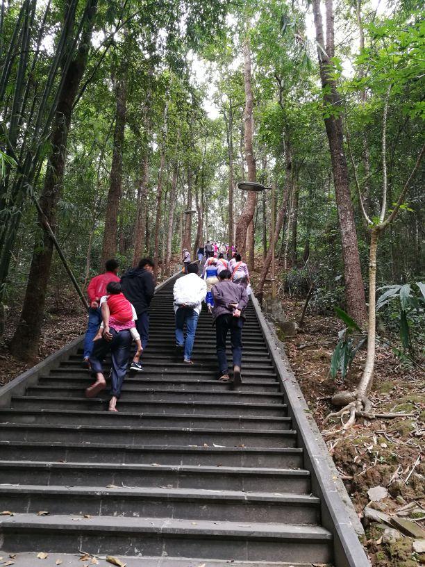 勐巴娜西珍奇园，一个美丽的地方云南德宏芒市（到芒市必玩的一个地方）