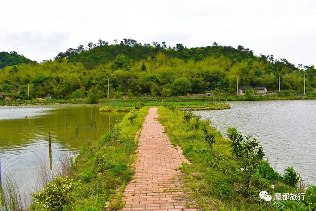 四明山好玩的景点大全，四明山游记