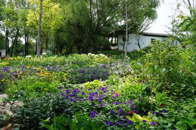 北京必玩景点排名，北京必玩的十个景点排名榜单（北京最值得去的12个景区）