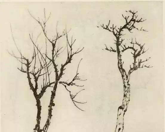 树怎么画简单又好看，如何画树简单又漂亮（水彩唯美风景画，手把手教你画）