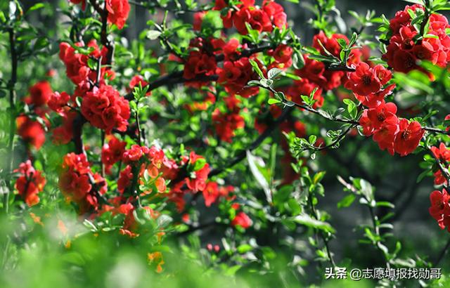 航天大学学什么专业，北京高校专业推荐