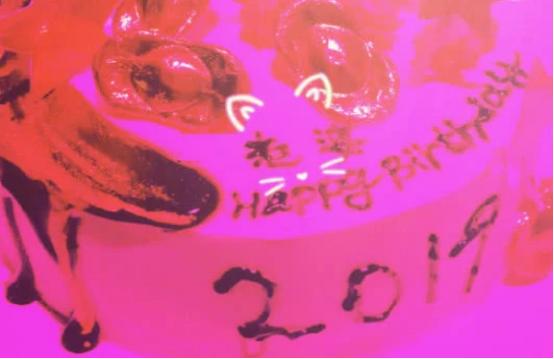 陈志朋老婆是谁，陈志朋婚姻经历