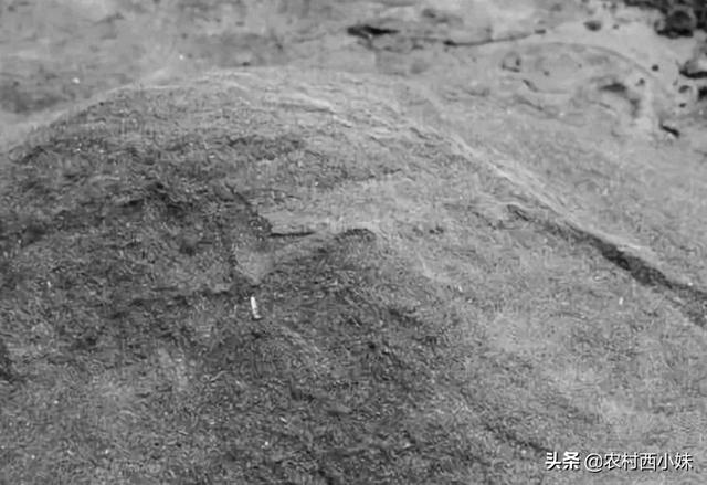 草木灰作用功效，草木灰的功效和使用