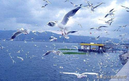 云南旅游最佳时间几月，去云南旅游的最佳时间是什么时候