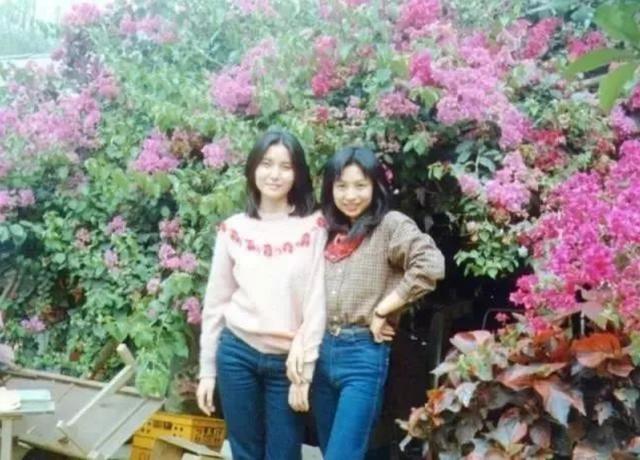 香港女流氓3次救林志玲，喊話陳冠希見一次打一次，她究竟有多狠 娛樂八卦吃瓜 第3张