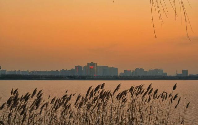 郑州周边免费景点，郑州最近免费旅游景点大全（不出郑州的8个赏花遛娃地）