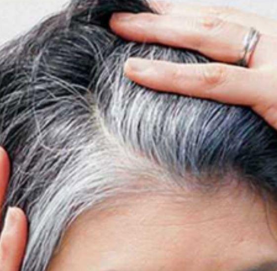 为什么会一夜白头，白发为什么会一夜白头（“一夜白头”真的存在吗）