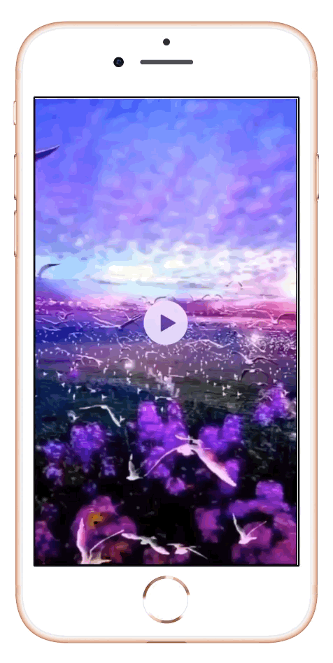 iphone拍照有哪些功能，iPhone手机的自带相机操作完全指南