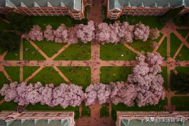 uw是什么意思，uw是哪个大学（华盛顿大学相当于中国什么等级的大学）