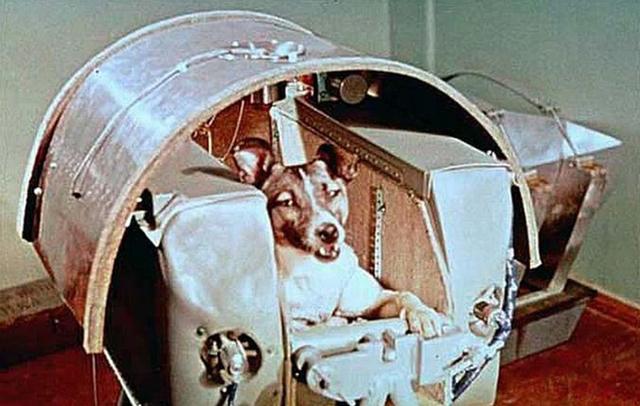 德国火箭发射器，源于德国的火箭研发技术