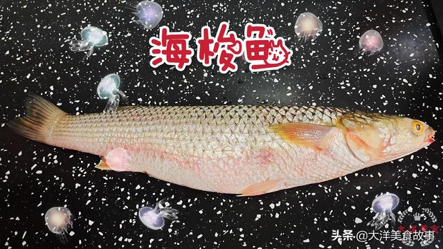 如何做梭子鱼，梭鱼5种最好吃的做法
