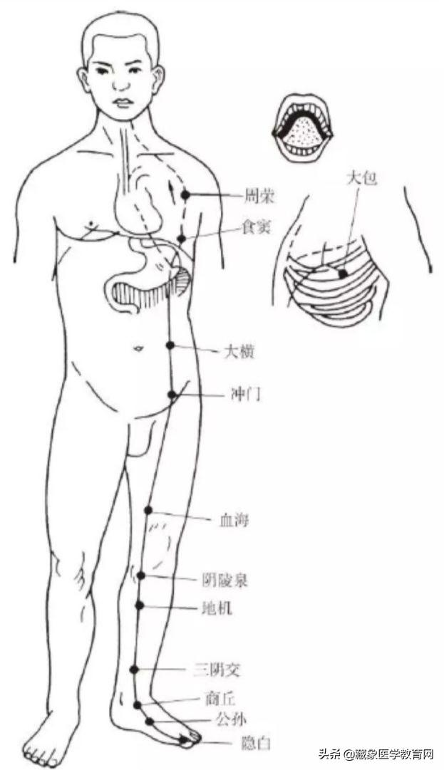 十二经络循行路线，十二经脉循行走向与交接规律图解（<十分钟教你终生不忘）