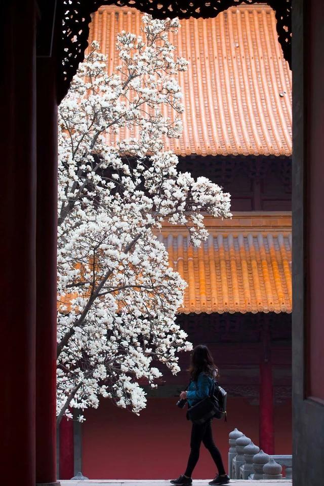 适合12月份去的旅行地，2月绝美旅行地推荐