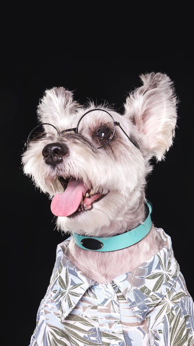 男生女生喜欢的壁纸，壁纸女生专用爱情