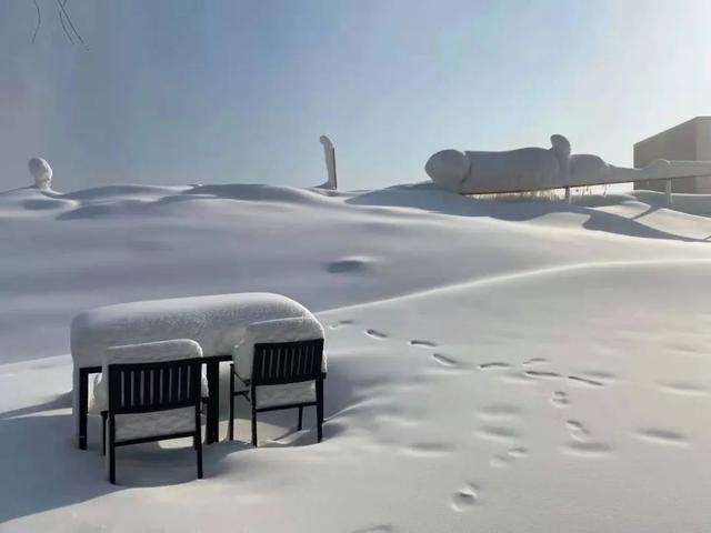 山东哪里有冰雪大世界，山东青州游客冰雪世界享清凉