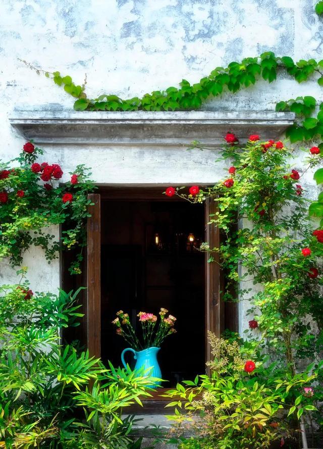 3月旅游的最佳地点，3月去什么地方旅游最好呢（三月份旅游一定要去的六个地方）