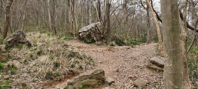 南京紫金山登山路径，南京紫金山登山线路攻略
