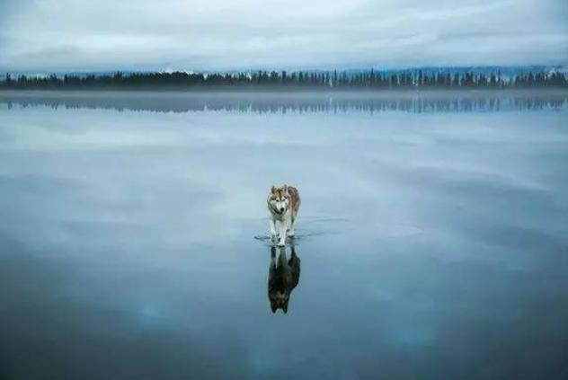 大寒是什么时候，一般什么时候开始的大寒（过了大寒就是年）