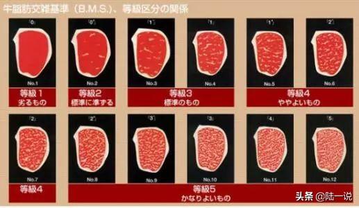 吃牛排的必知小知识，市面上的各种牛排你真的认识