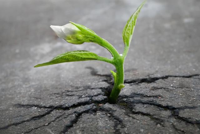 生命起源的过程，人类生命的起源到底是什么