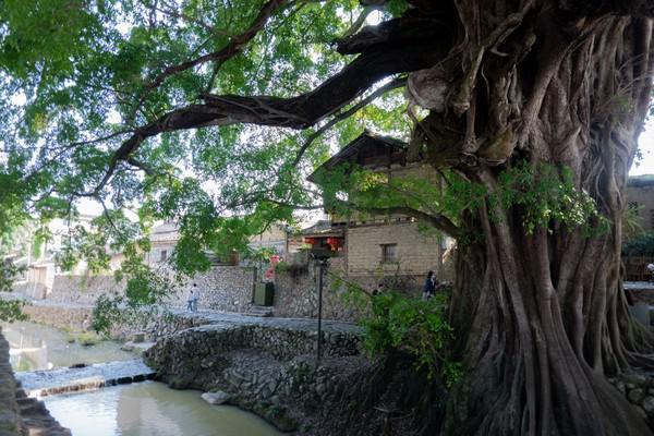 福建南靖千年古镇云水谣，带你解锁不一样的精彩