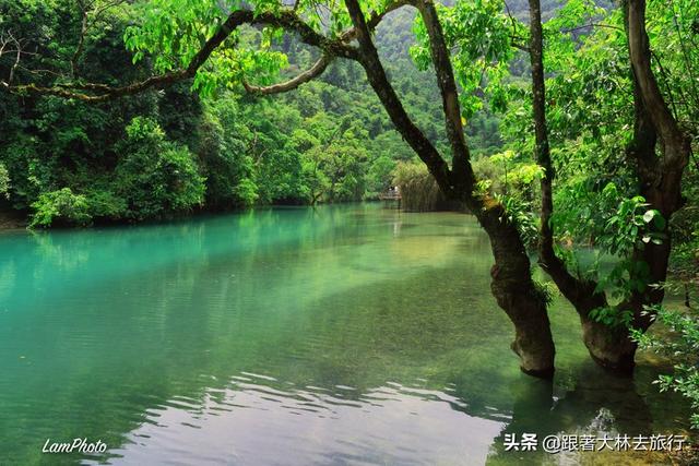 小七孔在贵州哪里，贵州小七孔景区在哪个城市（今日起贵州小七孔景区开园时间有变）