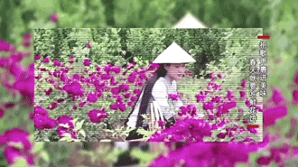 玫瑰花酱的做法，掌握这3个小技巧（玫瑰花酱是如何制作的）