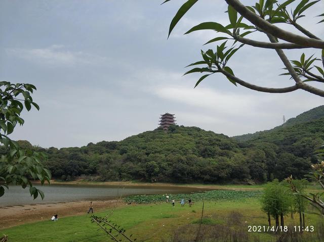 大王山森林公园，东莞大屏嶂森林公园官网