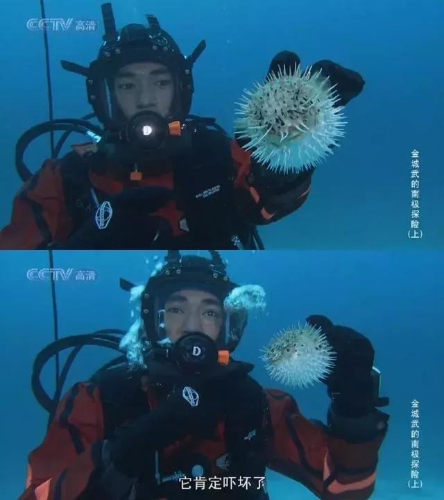 金城武长得真的不帅，48岁金城武近况曝光