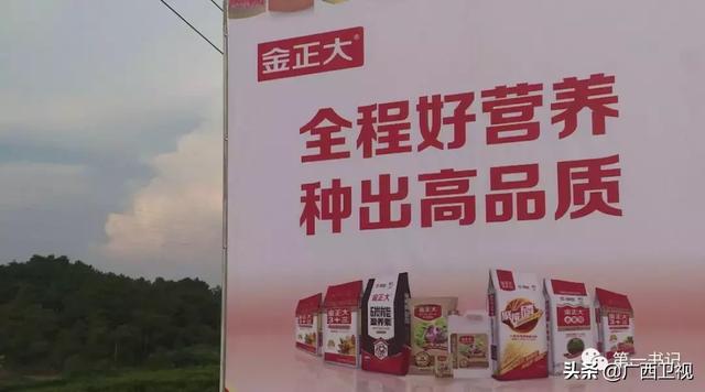 高精度卫星地图，卫星地图高清分辨率（城市高精地图应用开启）