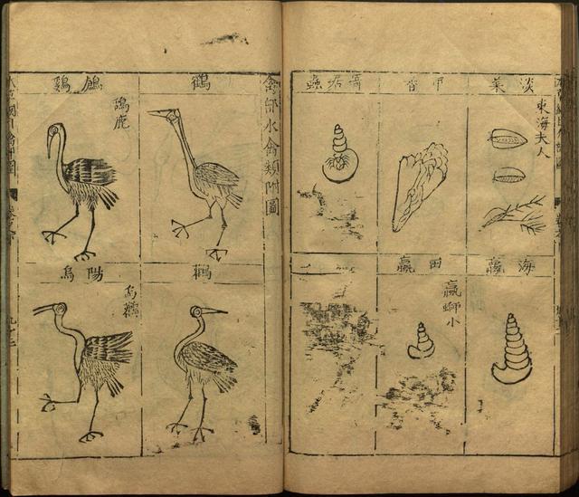 本草纲目全书带图，李时珍本草纲目全书（李时珍著《本草纲目》附图卷）